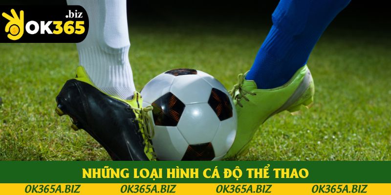 Những loại hình cá độ thể thao Những loại hình cá độ thể thao