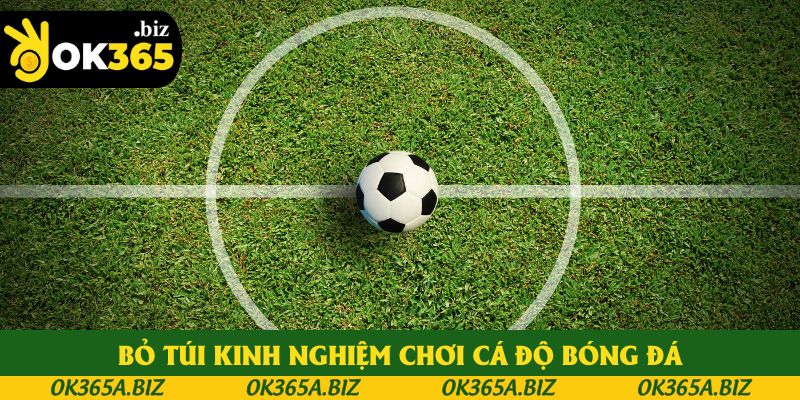 Bỏ túi kinh nghiệm chơi cá độ bóng đá Bỏ túi kinh nghiệm chơi cá độ bóng đá