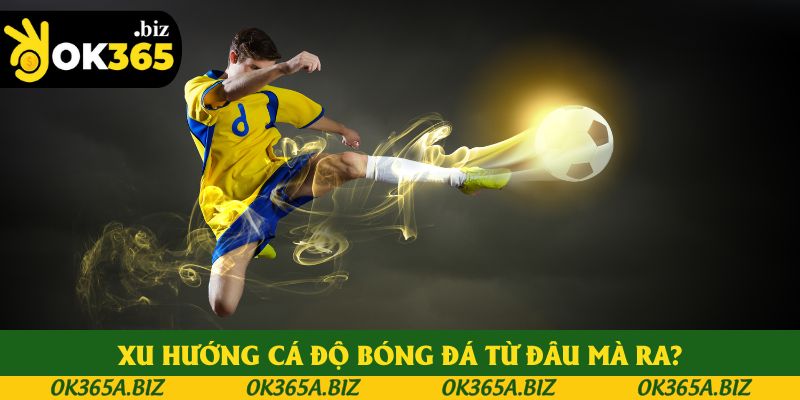Xu hướng cá độ bóng đá từ đâu mà ra? Xu hướng cá độ bóng đá từ đâu mà ra?