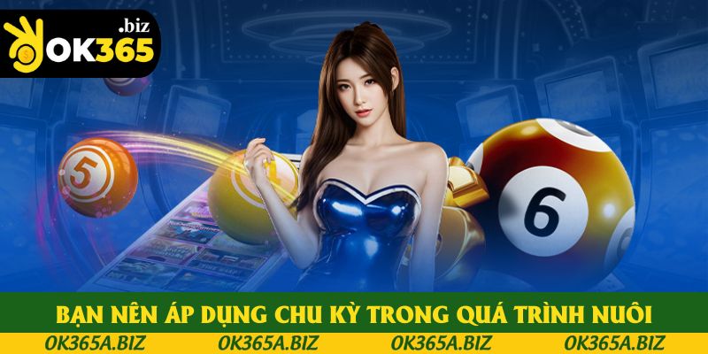 Bạn nên áp dụng chu kỳ trong quá trình nuôi Bạn nên áp dụng chu kỳ trong quá trình nuôi