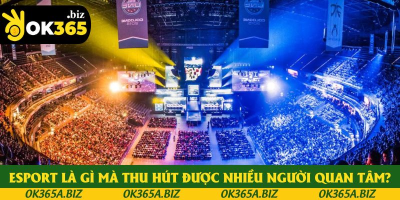 ESPORT là gì mà thu hút được nhiều người quan tâm? ESPORT là gì mà thu hút được nhiều người quan tâm?