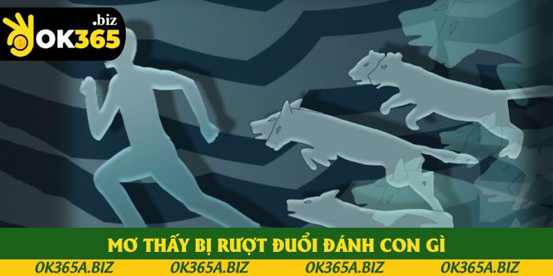 Lý giải giấc mơ bị rượt đuổi và ngã Lý giải giấc mơ bị rượt đuổi và ngã