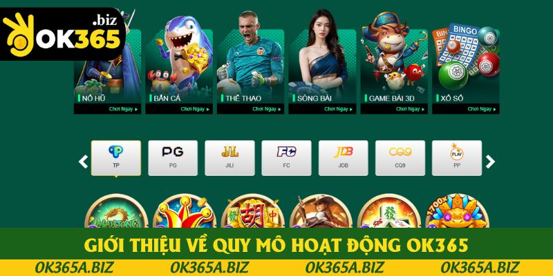 Giới thiệu về tính pháp lý và quy mô hoạt động OK365 Giới thiệu về tính pháp lý và quy mô hoạt động OK365